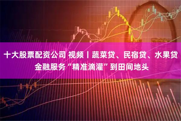 十大股票配资公司 视频丨蔬菜贷、民宿贷、水果贷 金融服务“精准滴灌”到田间地头