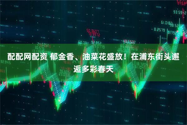 配配网配资 郁金香、油菜花盛放！在浦东街头邂逅多彩春天